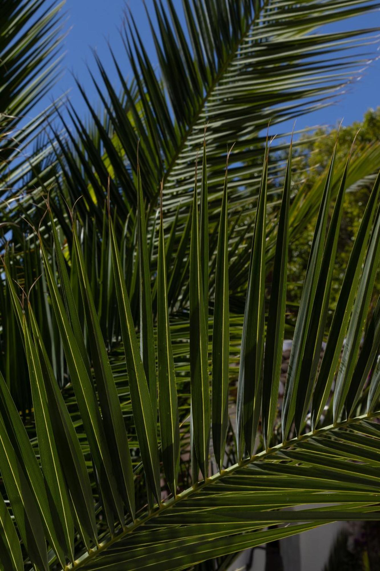 Bed and Breakfast La Casa del Burro Nerja Exterior foto