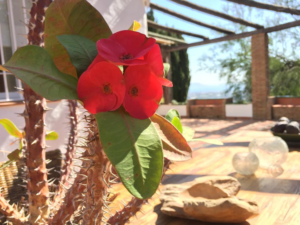 Bed and Breakfast La Casa del Burro Nerja Exterior foto